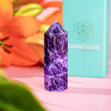 Cycle Breaker - Chevron Amethyst Point of Transformation Furniture & Decor - Tophatter Daily Deals