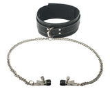 Coveted Collar and Clamp Union Set > Bondage Gear > Collars & Leashes - Tophatter Daily Deals
