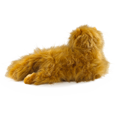 Harry Potter - Crookshanks Collector's Plush Plush Toy - Tophatter Daily Deals
