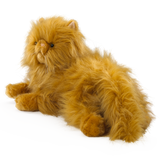 Harry Potter - Crookshanks Collector's Plush Plush Toy - Tophatter Daily Deals