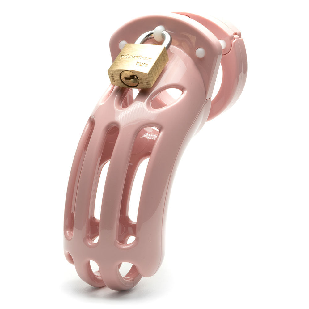 Curve Chastity Cock Cage Kit > Bondage Gear > Male Chastity - Tophatter Daily Deals