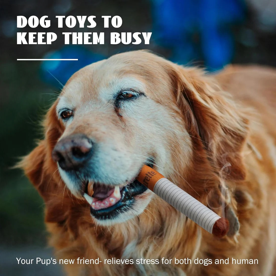 Dawg Toy - Tophatter Daily Deals