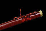 Highlander - Connor Macleod Display (Straight Blade) Katana Sword - Tophatter Daily Deals