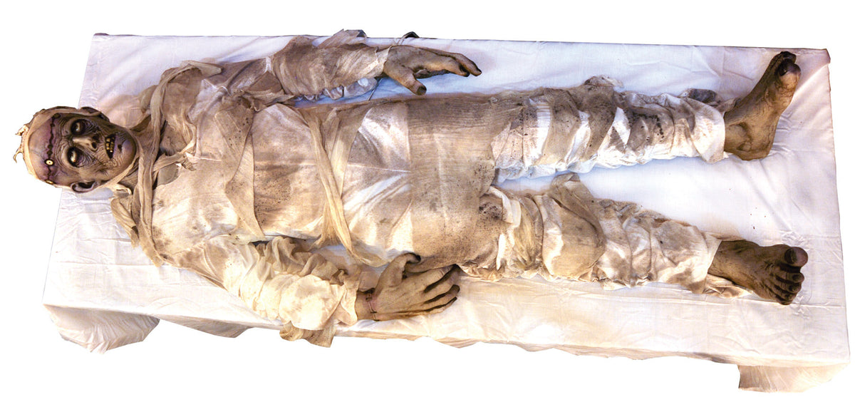 It Lives! Frightronic Halloween Animatronics - Tophatter Daily Deals