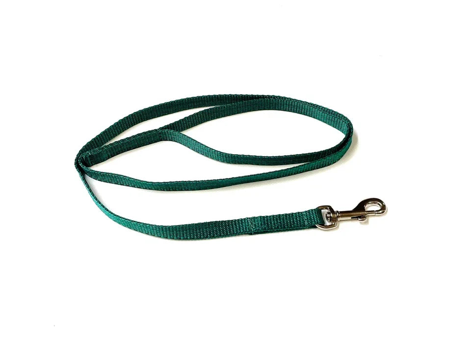 Dog Running Leash - 45" Puppy Small Dog Walking Lead 13mm Wide Strong Durable Webbing Pet Products - Tophatter Daily Deals