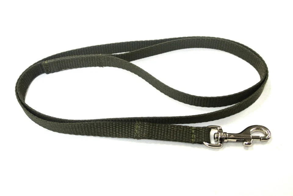 Dog Running Leash - 45" Puppy Small Dog Walking Lead 13mm Wide Strong Durable Webbing Pet Products - Tophatter Daily Deals