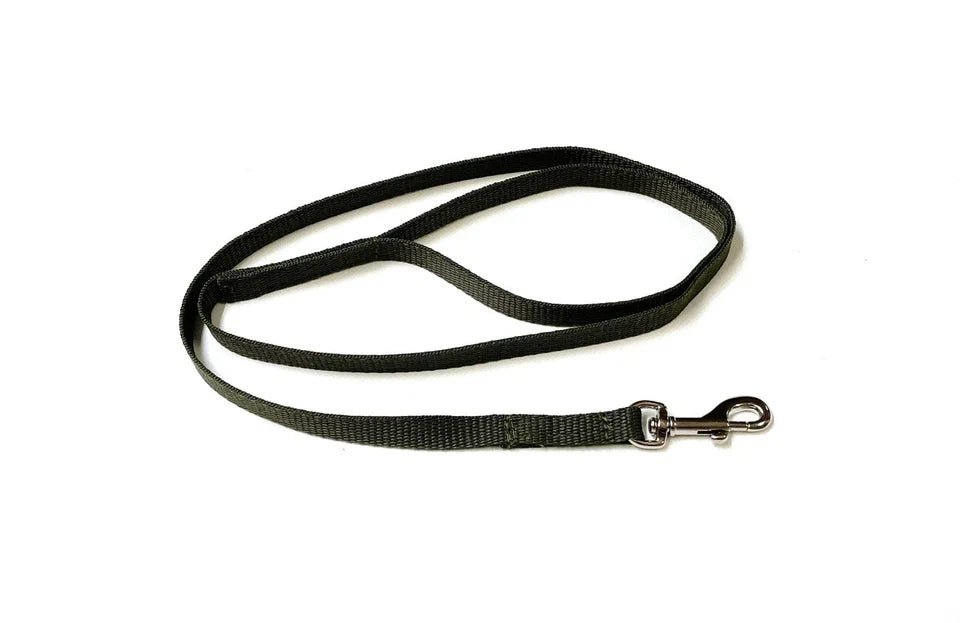 Dog Running Leash - 45" Puppy Small Dog Walking Lead 13mm Wide Strong Durable Webbing Pet Products - Tophatter Daily Deals