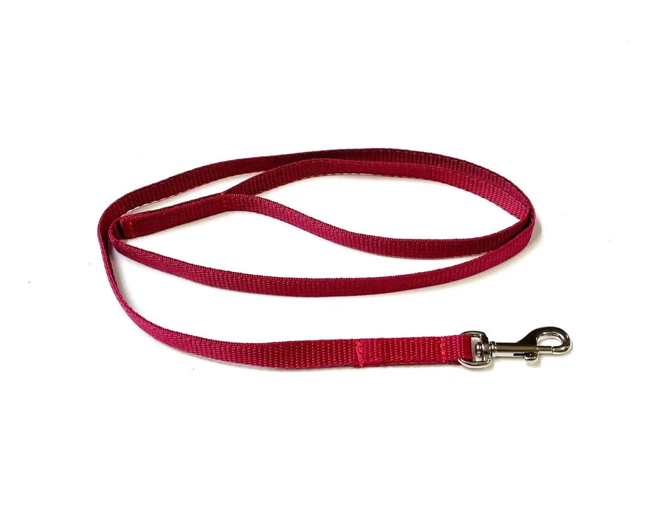 Dog Running Leash - 45" Puppy Small Dog Walking Lead 13mm Wide Strong Durable Webbing Pet Products - Tophatter Daily Deals