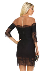 Women's Sheer Mesh Lace Dress Dresses / Mini - Tophatter Daily Deals