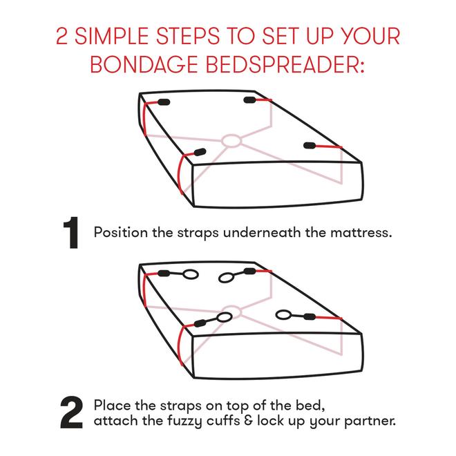Everything You Need Bondage IN-A-BOX Sex Toys - Tophatter Daily Deals
