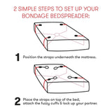 Everything You Need Bondage IN-A-BOX Sex Toys - Tophatter Daily Deals