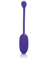 Rechargeable Kegel Ball Starter - Purple Sexual Enhancers - Tophatter Daily Deals