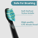 Rechargeable Power Toothbrush - 4/12X Brush Heads Electric Toothbrush Power Toothbrush ADA Accepted Personal Care - Tophatter Daily Deals