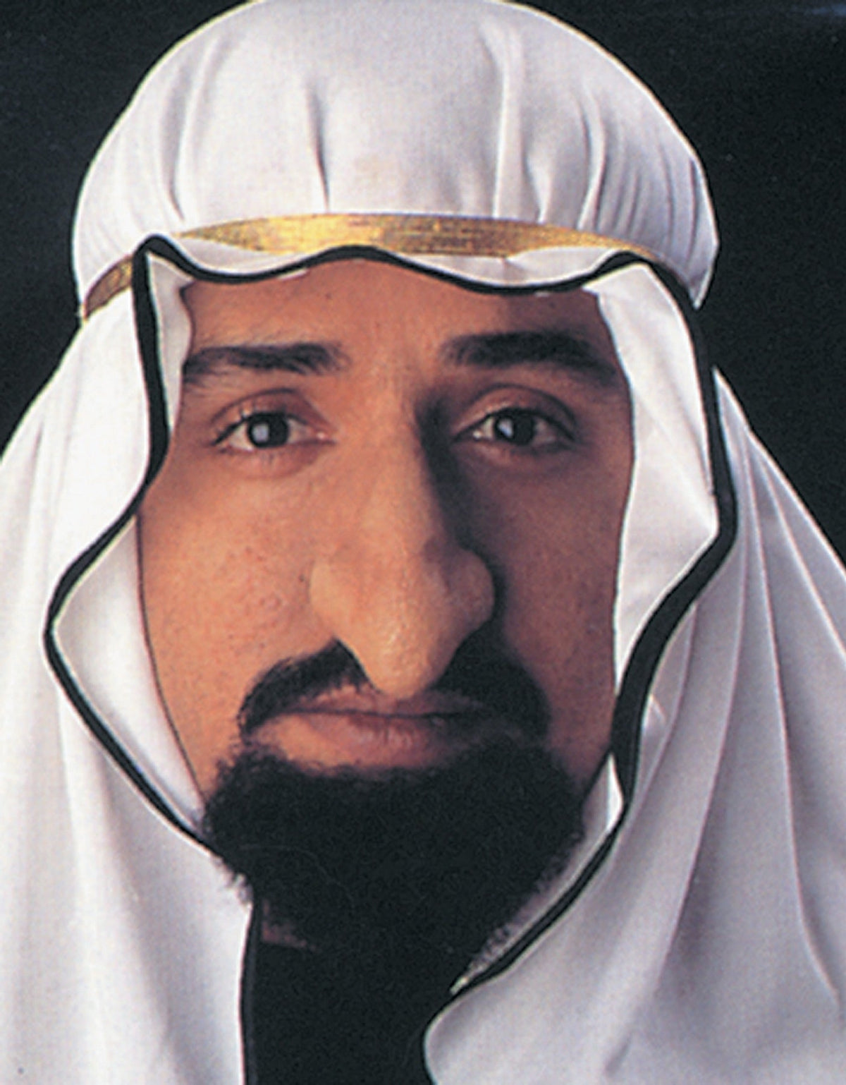Sheik Fagin Nose Costume Accessories - Tophatter Daily Deals