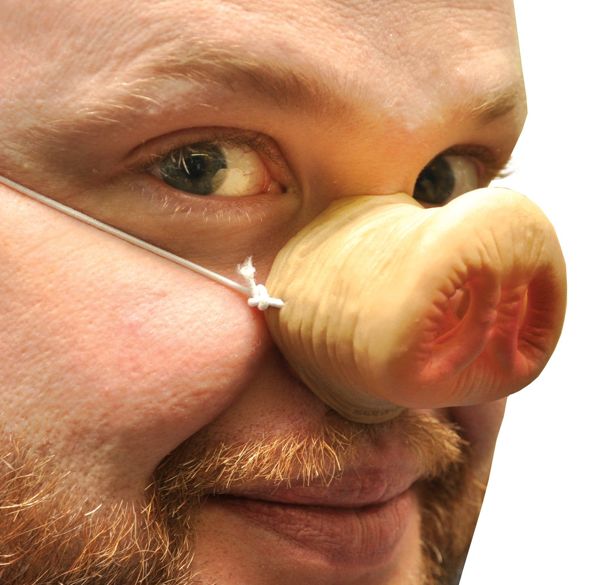 Nose Pig with Elastic Costume Accessories - Tophatter Daily Deals
