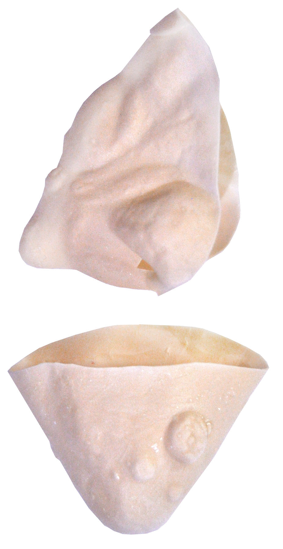 Witch Kit Nose Chin Witch Halloween Costumes - Tophatter Daily Deals