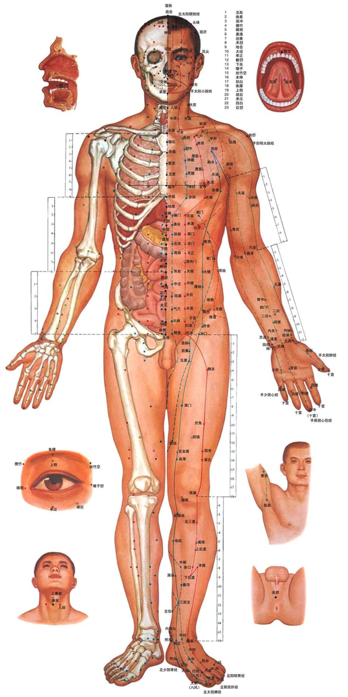 Acupuncturepen Meridian Energy Pen THERAPY SUPPORT - Tophatter Daily Deals