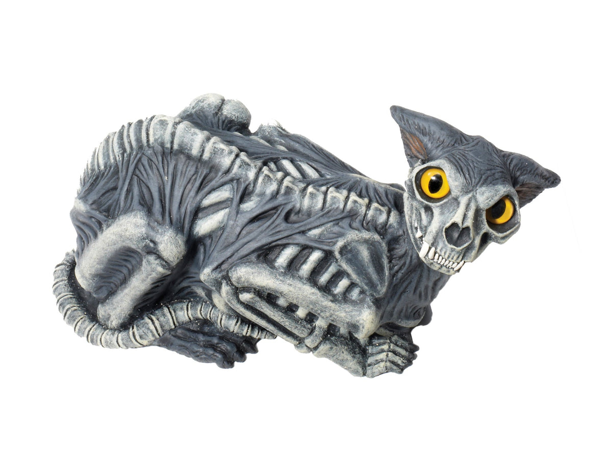 14" Zombie Cat Prop Zombie Halloween Costumes - Tophatter Daily Deals