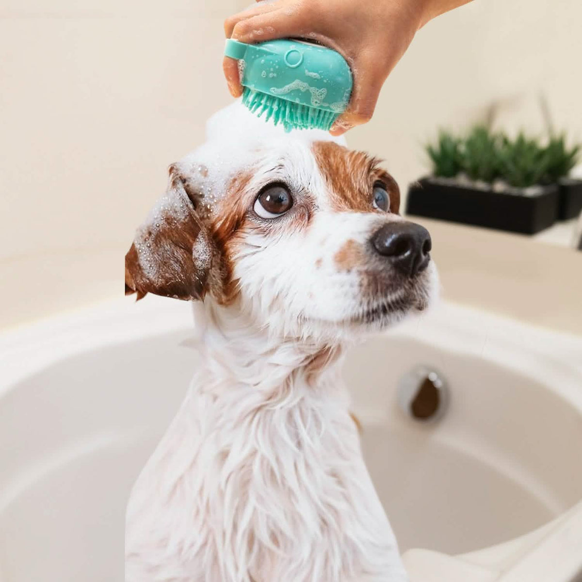 Soft Dog Cat Pet Bath Scrubber Massager Brush With Shampoo Dispenser Pet Supplies - Tophatter Daily Deals