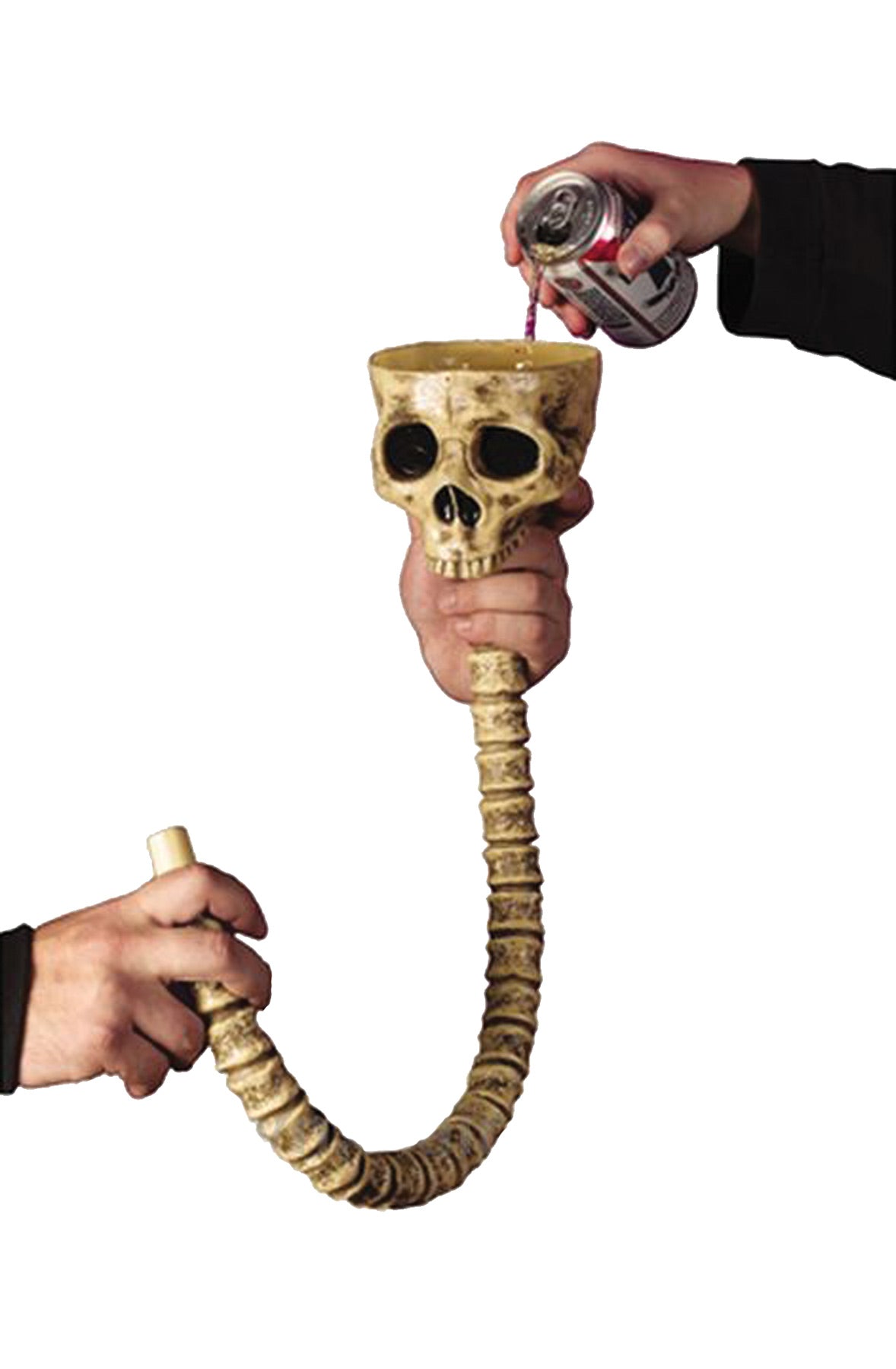 Skull Beer Funnel Halloween Skeleton Decorations - Tophatter Daily Deals