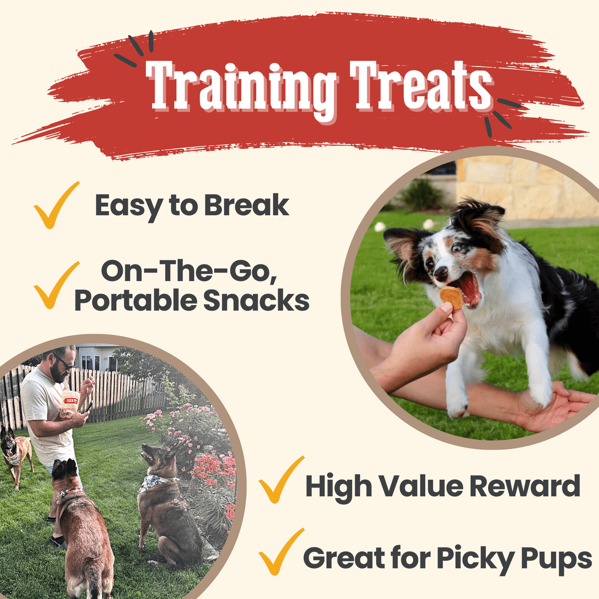 Chicken Chips for Dogs - All-Natural Single-Ingredient Treats Pet Supplies - Tophatter Daily Deals