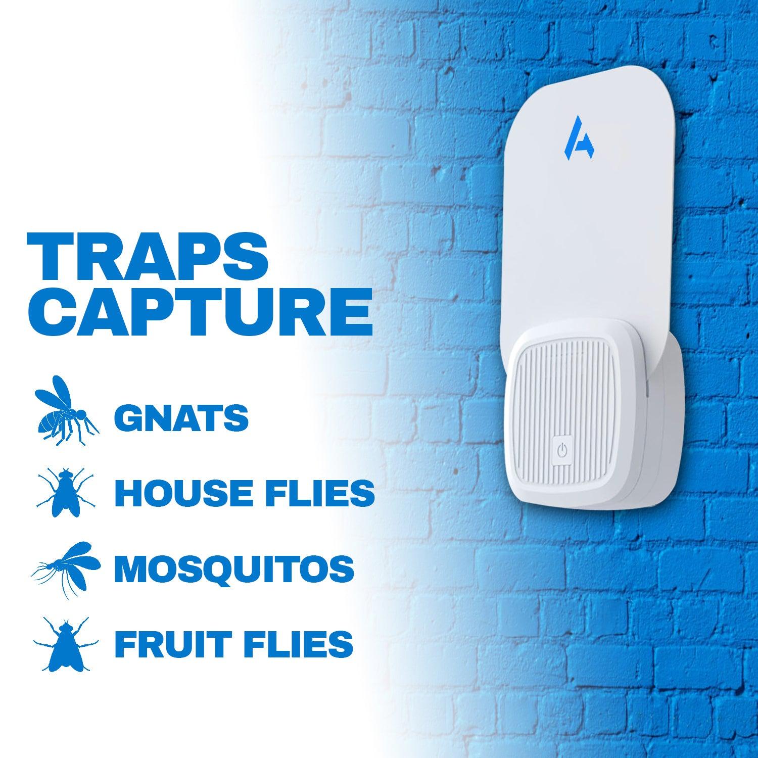 Indoor Fly Trap - Fly Trap Indoor, Fruit Fly Traps for Indoors, Gnat Traps for House Indoor, Fly Catcher Indoor Home - Tophatter Daily Deals