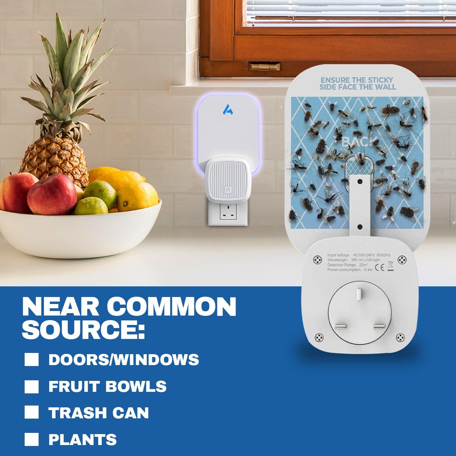 Indoor Fly Trap - Fly Trap Indoor, Fruit Fly Traps for Indoors, Gnat Traps for House Indoor, Fly Catcher Indoor Home - Tophatter Daily Deals