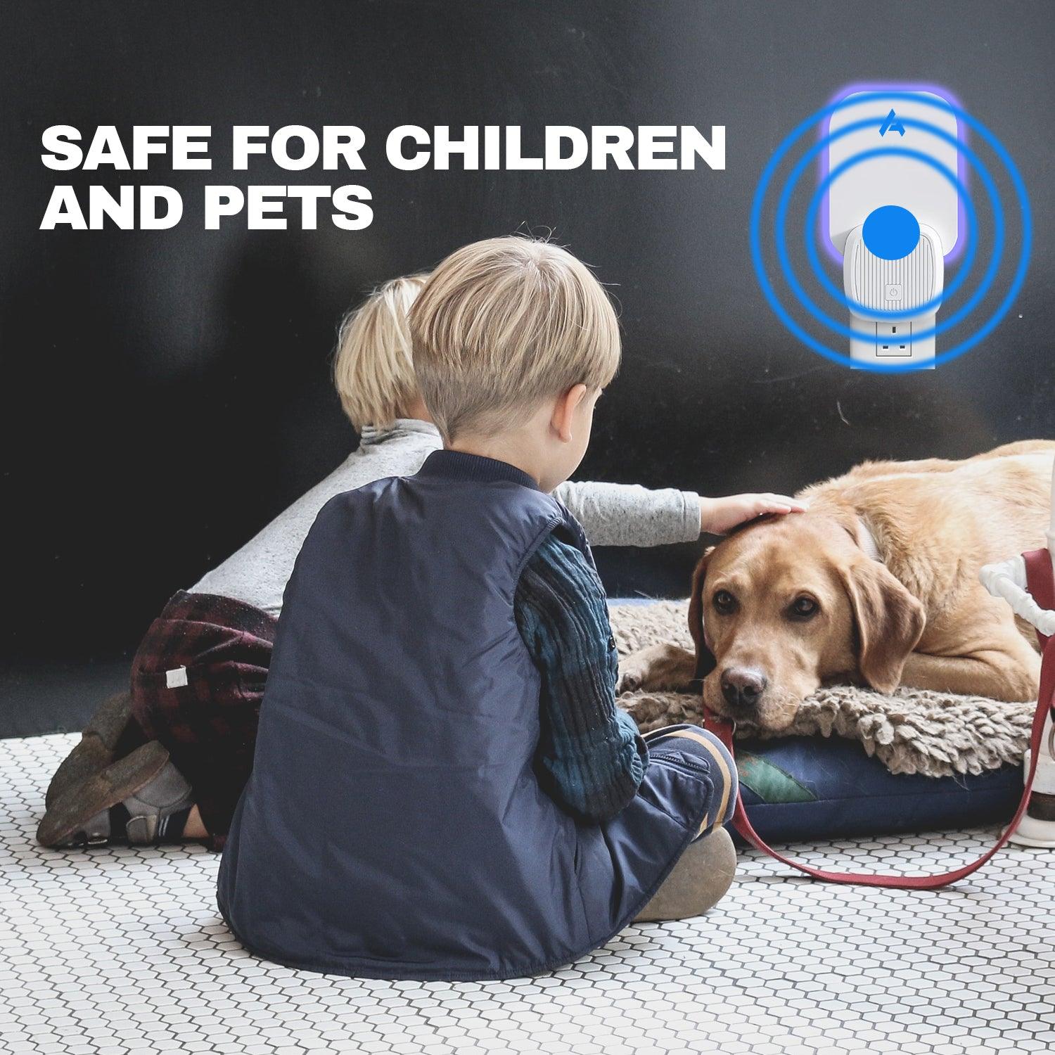 Indoor Fly Trap - Fly Trap Indoor, Fruit Fly Traps for Indoors, Gnat Traps for House Indoor, Fly Catcher Indoor Home - Tophatter Daily Deals