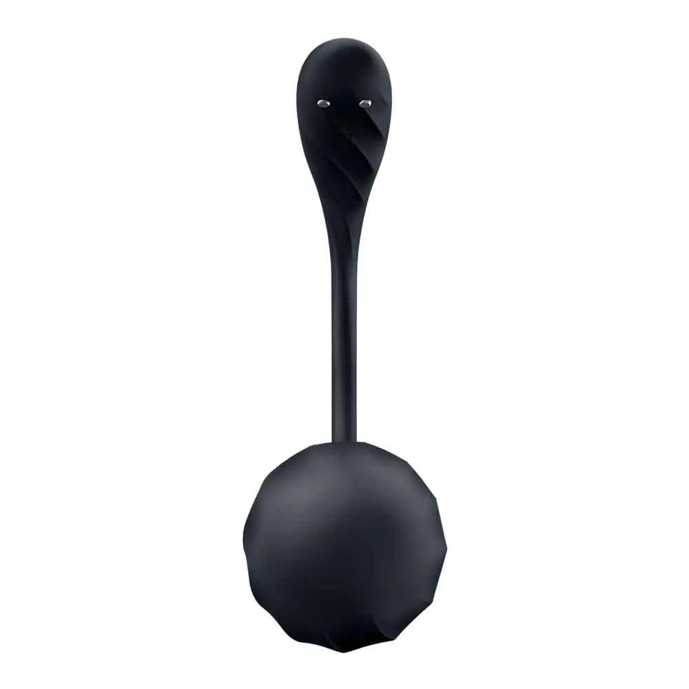 Satisfyer Ribbed Petal Connect – Portable Silicone Vibrator > Sex Toys For Ladies > G-Spot Vibrators - Tophatter Daily Deals