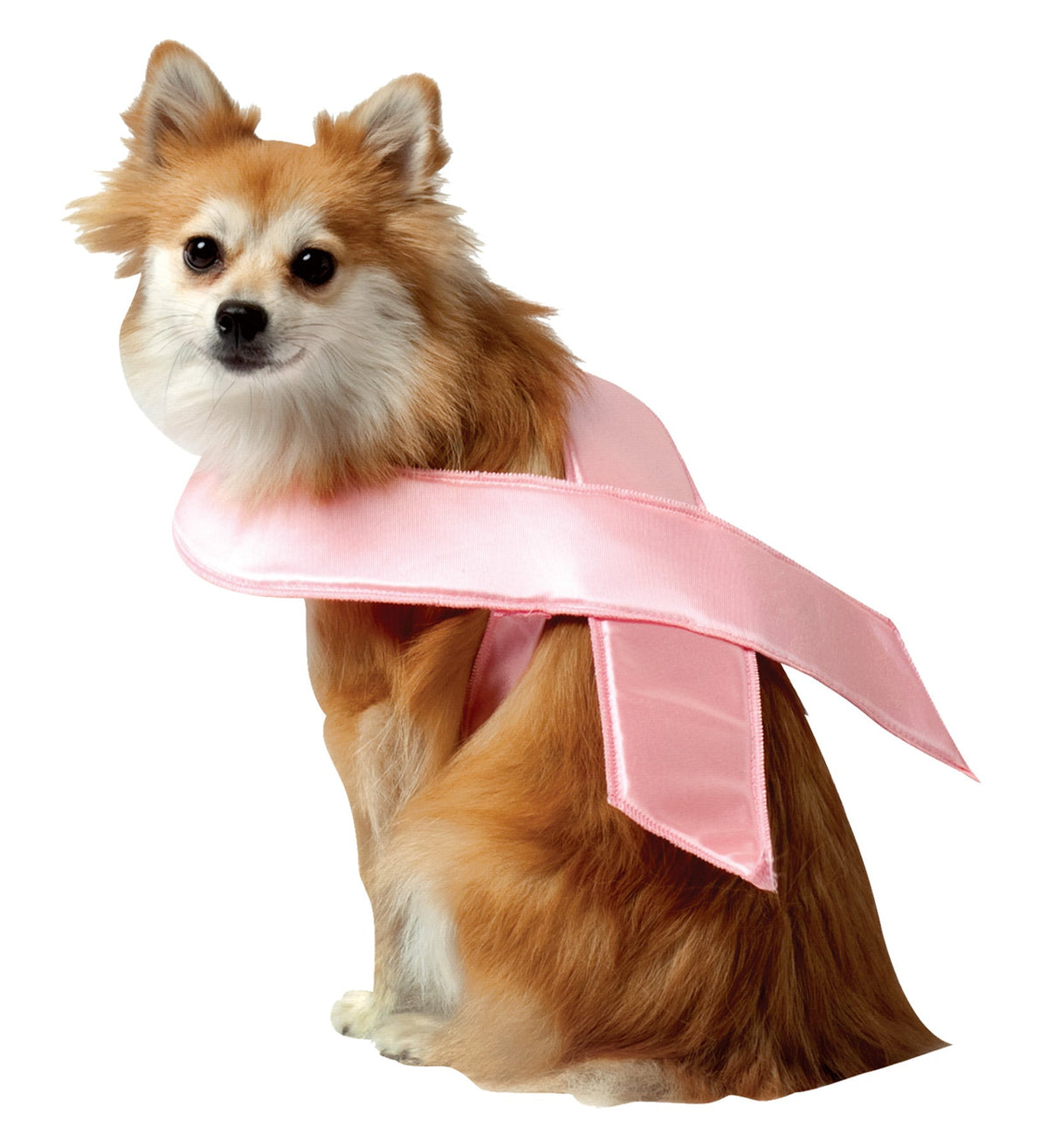 Pink Ribbon Dog Costume Pet Halloween Costumes - Tophatter Daily Deals