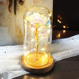 Beauty & The Beast Eternal Red Rose In Glass Dome with LED Lights Flowers - Tophatter Daily Deals