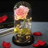 Beauty & The Beast Eternal Red Rose In Glass Dome with LED Lights Flowers - Tophatter Daily Deals