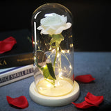 Beauty & The Beast Eternal Red Rose In Glass Dome with LED Lights Flowers - Tophatter Daily Deals