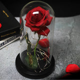 Beauty & The Beast Eternal Red Rose In Glass Dome with LED Lights Flowers - Tophatter Daily Deals