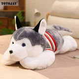 Huskie Dog Plush Doggy Puppy Husky Sleeping Grey White Stuffed Soft Toy Animals - Tophatter Daily Deals