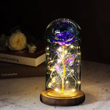 Beauty & The Beast Eternal Red Rose In Glass Dome with LED Lights Flowers - Tophatter Daily Deals