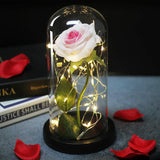 Beauty & The Beast Eternal Red Rose In Glass Dome with LED Lights Flowers - Tophatter Daily Deals