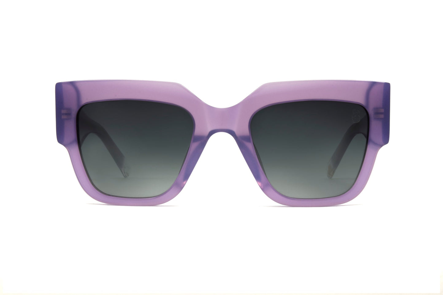 Biscayners Glenridge Purple Women's Sunglasses Sunglasses - Tophatter Daily Deals
