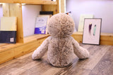 Brown Beige Baby Sloth Plush Long Floppy Arms Stuffed Soft Toy Animals - Tophatter Daily Deals