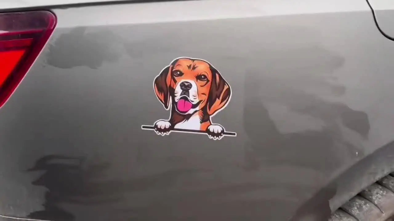 Hawk Tuah Spit Funny Cartoon Vinyl Sticker, Hilarious Self-Adhesive High Gloss Decal For Car Front, Laptop, Window, And More - Anime TV Show Themed - Tophatter Daily Deals