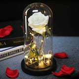 Beauty & The Beast Eternal Red Rose In Glass Dome with LED Lights Flowers - Tophatter Daily Deals