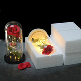 Beauty & The Beast Eternal Red Rose In Glass Dome with LED Lights Flowers - Tophatter Daily Deals