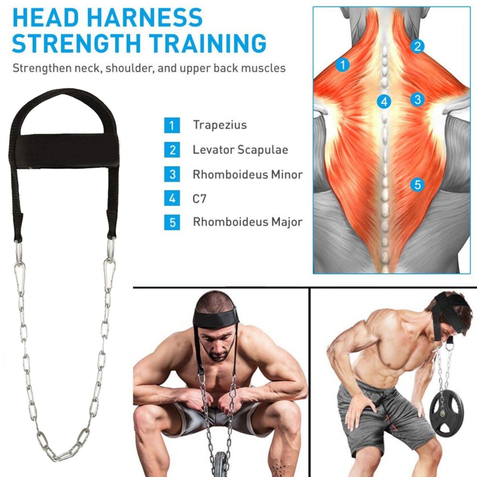 Neck Exercise Harness - Head Harness Special Dipping For Neck Exercise Weight lifting Exercise & Fitness - Tophatter Daily Deals