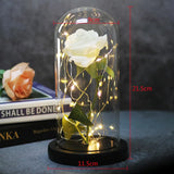 Beauty & The Beast Eternal Red Rose In Glass Dome with LED Lights Flowers - Tophatter Daily Deals