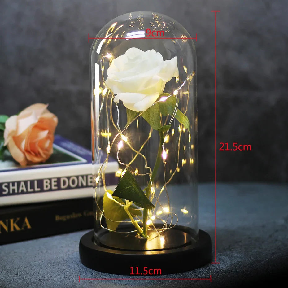 Beauty & The Beast Eternal Red Rose In Glass Dome with LED Lights Flowers - Tophatter Daily Deals