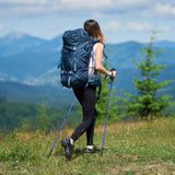 Adjustable Hiking Pole - Telescopic Walking Poles Set 3-Section Anti Shock Trekking Stick trekking - Tophatter Daily Deals