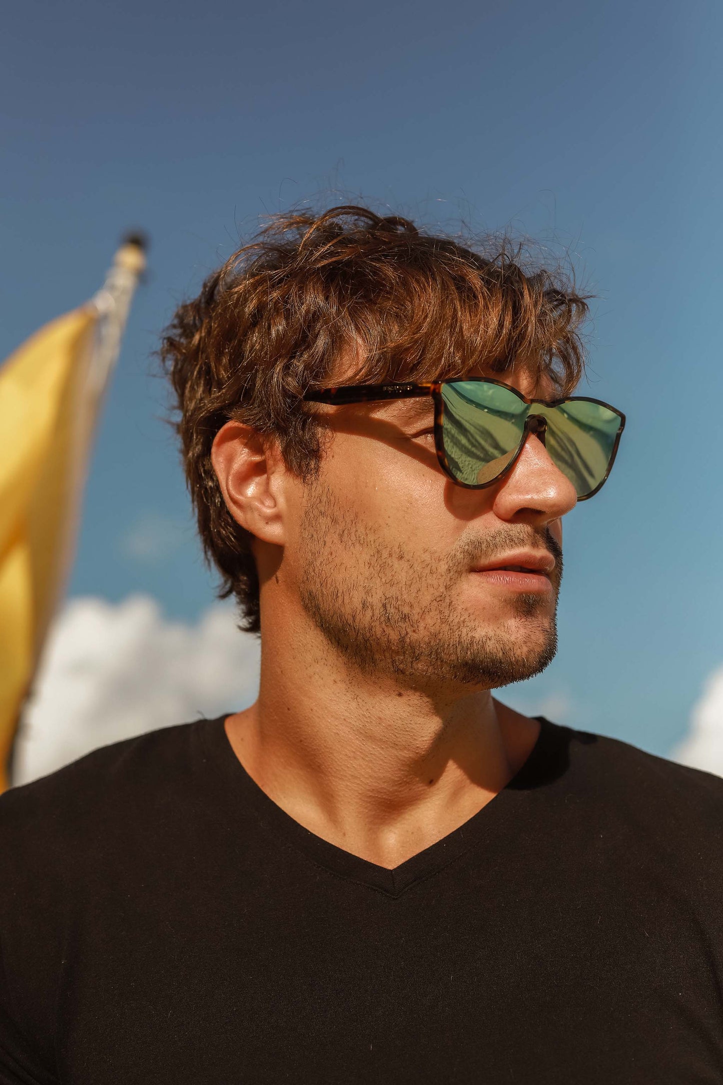 Biscayners Cranwood Tortoise Men's Sunglasses Sunglasses - Tophatter Daily Deals