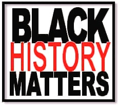 BLACK HISTORY MATTERS SERIES Ebook ebook - Tophatter Daily Deals