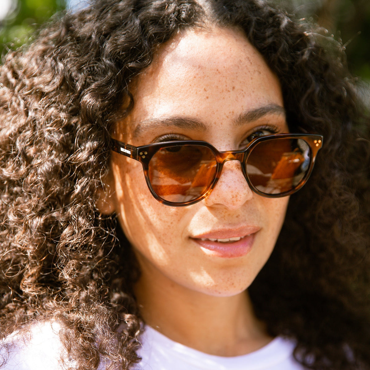 Biscayners Westwood Tortoise Women's Sunglasses Sunglasses - Tophatter Daily Deals