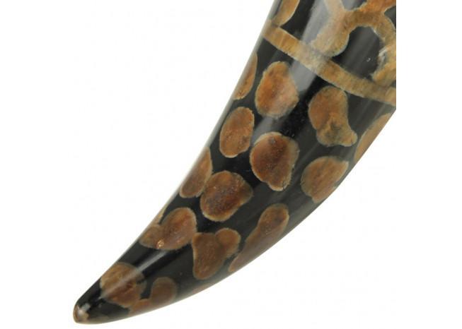 Scales Medieval Drinking Horn with Brown Leather Holder historical period - Tophatter Daily Deals
